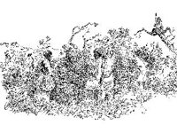 CVLZ1490.jpg