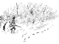 CVLZ1479.jpg