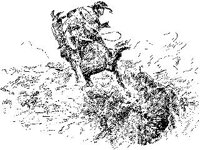 CVLZ1459.jpg