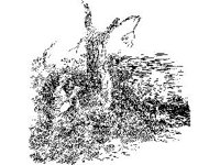 CVLZ1457.jpg