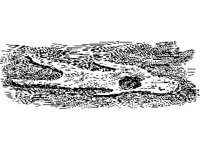 CVLZ1455.jpg