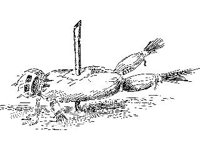 CVLZ1450.jpg
