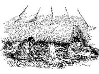 CVLZ1438.jpg