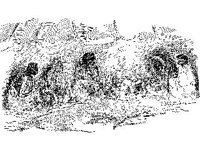 CVLZ1436.jpg