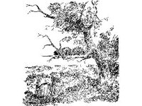 CVLZ1429.jpg
