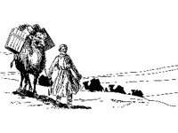 CVLZ3397.jpg