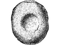 CVLZ1966.jpg