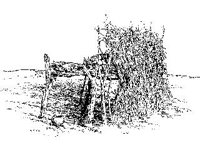 CVLZ1960.jpg