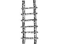 CVLZ1922.jpg