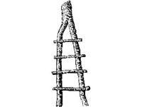 CVLZ1921.jpg
