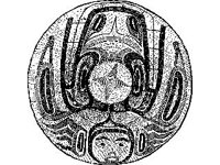 CVLZ1904.jpg