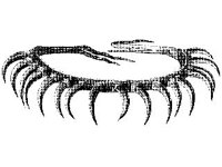 CVLZ1901.jpg