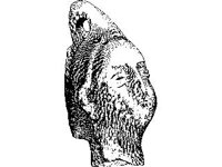 CVLZ1886.jpg
