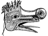 CVLZ1881.jpg