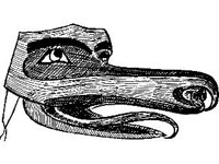 CVLZ1880.jpg