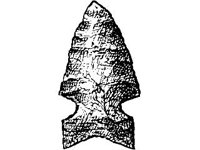 CVLZ1843.jpg