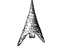 CVLZ1837.jpg