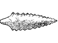 CVLZ1835.jpg