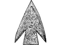 CVLZ1833.jpg