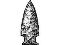 CVLZ1830.jpg