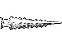 CVLZ1823.jpg