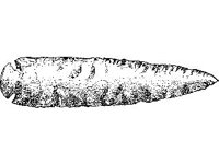 CVLZ1822.jpg
