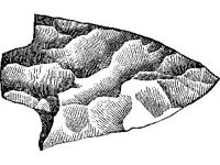 CVLZ1820.jpg