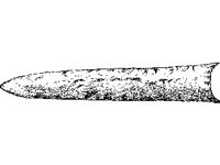 CVLZ1817.jpg