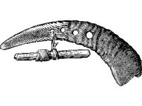 CVLZ1816.jpg