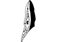 CVLZ1815.jpg