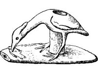 CVLZ1760.jpg