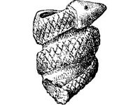 CVLZ1755.jpg