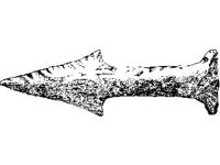 CVLZ1738.jpg