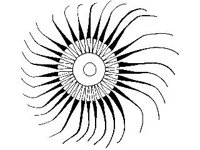 CVLZ2187.jpg