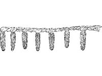 CVLZ2179.jpg