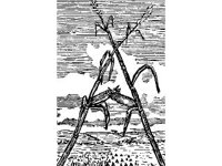 CVLZ2177.jpg