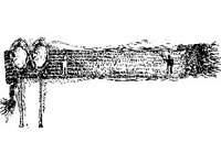 CVLZ2169.jpg