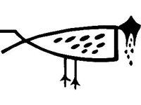 CVLZ2089.jpg