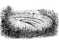 CVLZ2428.jpg