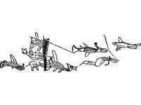 CVLZ2427.jpg