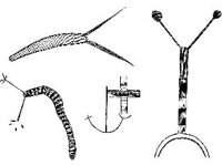 CVLZ2385.jpg