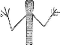 CVLZ2384.jpg
