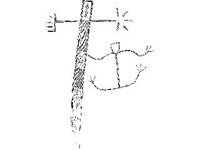 CVLZ2383.jpg