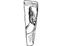 CVLZ2370.jpg
