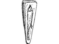 CVLZ2369.jpg