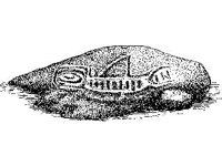 CVLZ2357.jpg