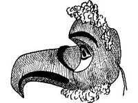 CVLZ2328.jpg