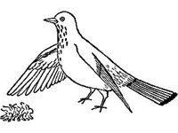 CVLZ2315.jpg