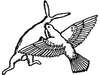 CVLZ2311.jpg