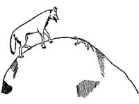 CVLZ2245.jpg
